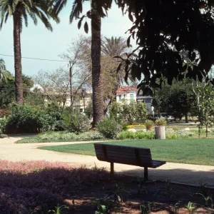A wooden bench in the shade at the side of a path. The path branches off between fields of green grass, pink flowers, tall palm trees, and buses of various sizes. 