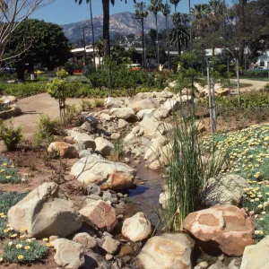A narrow, rocky stream runs beside a branching path, between two beds of white and yellow flowers.