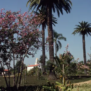 Several varieties of plants, including pink flowering trees, slender trees supported by trellises, and huge palm trees grow in a grassy field if front of a white building with a gold-domed steeple. 