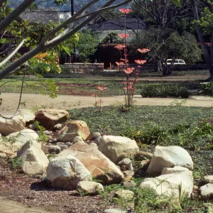 Stones of various sizes in a grassy area surrounded by a dirt path. 