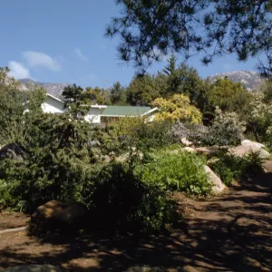 SBBG, Manzanita Section