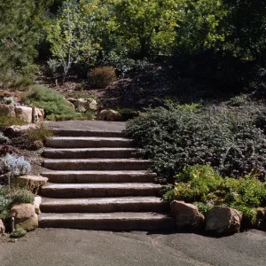 SBBG, Meadow View steps