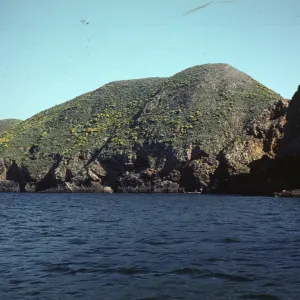 North Side of Middle Anacapa Island