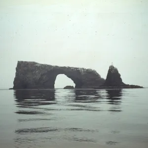 East Anacapa Island, Archrock