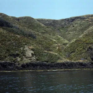 Middle Anacapa Island, Sheep Ranch