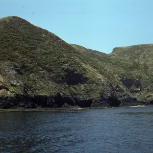 Middle Anacapa Island, just West of Sheep Ranch