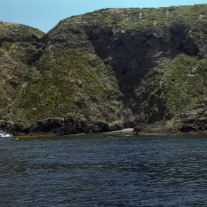 Middle Anacapa Island, just East of Sheep Ranch