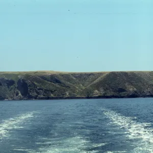 Middle Anacapa Island, Sheep Ranch