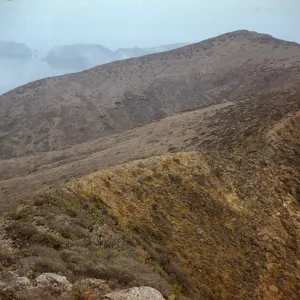 Along ridge looking east from highest point on West Anacapa Island