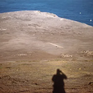 Santa Barbara Island looking west