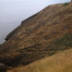 Landing Cove, Santa Barbara Island