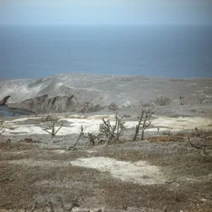 looking from Signal Peak over the west terrace to Webster point, Santa Barbara Island