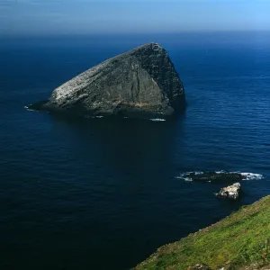 Santa Barbara Island, Sutil Island