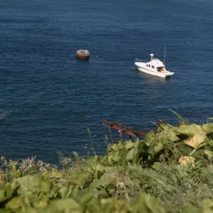 Marah, boats off of Landing Cove, Santa Barbara Island