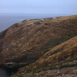 Landing Cove, Santa Barbara Island