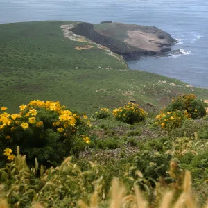 Santa Barbara Island