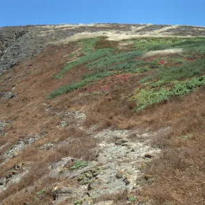 Santa Barbara Island