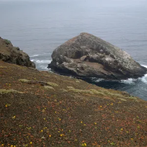 Shag Rock, Santa Barbara Island