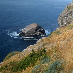 Shag Rock, Santa Barbara Island