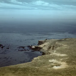 Santa Barbara Island, West end