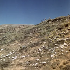Santa Barbara Island
