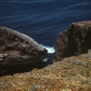 Shag Rock, North Coast Inlet, Santa Barbara Island 