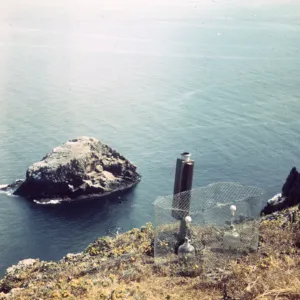 Santa Barbara Island, Station C4
