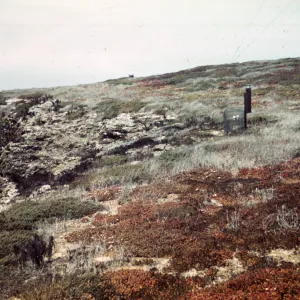 Santa Barbara Island, Signal Peak