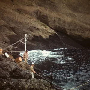 Santa Barbara Island, Landing Party