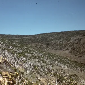 Santa Barbara Island