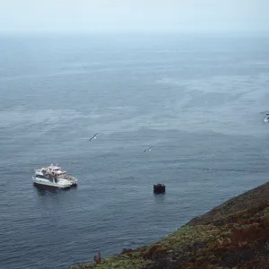 Santa Barbara Island, Anchorage Cove, 2 boats
