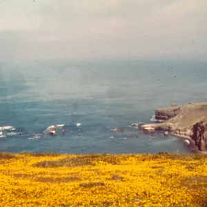 Santa Barbara Island, Hook
