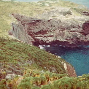 Santa Barbara Island west of North Peak