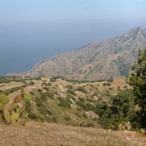 Santa Catalina Island