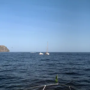 Santa Cruz Island from Boat