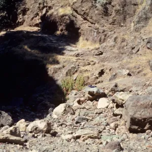 Marla Daily's Madia Location