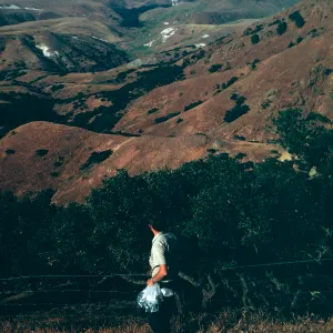 View of Scorpion Ranch