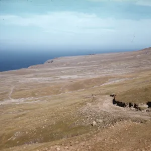 grassy slopes on north side of the central ridge and east of West Point, Santa Cruz Island
