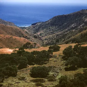 Santa Cruz Island, Coches Prietos Canyon
