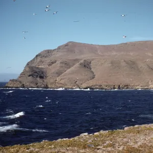 Santa Cruz Island, West Point