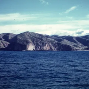 Santa Cruz Island, The Willows