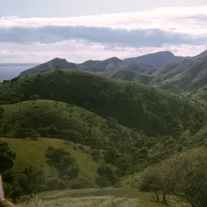 Alameda de los Coches Prietos, Santa Cruz Island