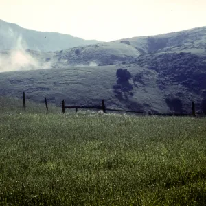 fog rolling in, east end of Santa Cruz Island