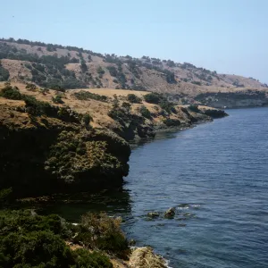 Santa Cruz Island