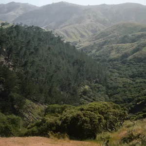 Santa Cruz Island