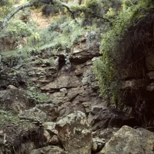 Santa Cruz Island