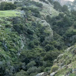 Santa Cruz Island