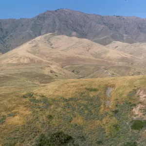 Santa Cruz Island, above Christy Ranch