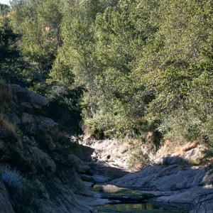 Santa Cruz Island