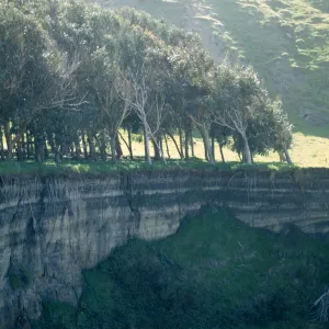 Santa Cruz Island